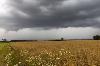 Gewitterwolke über Nieder-Erlenbach in Hessen: In der Mitte Deutschlands kann es in der kommenden Woche zu Schauern und Gewittern kommen.