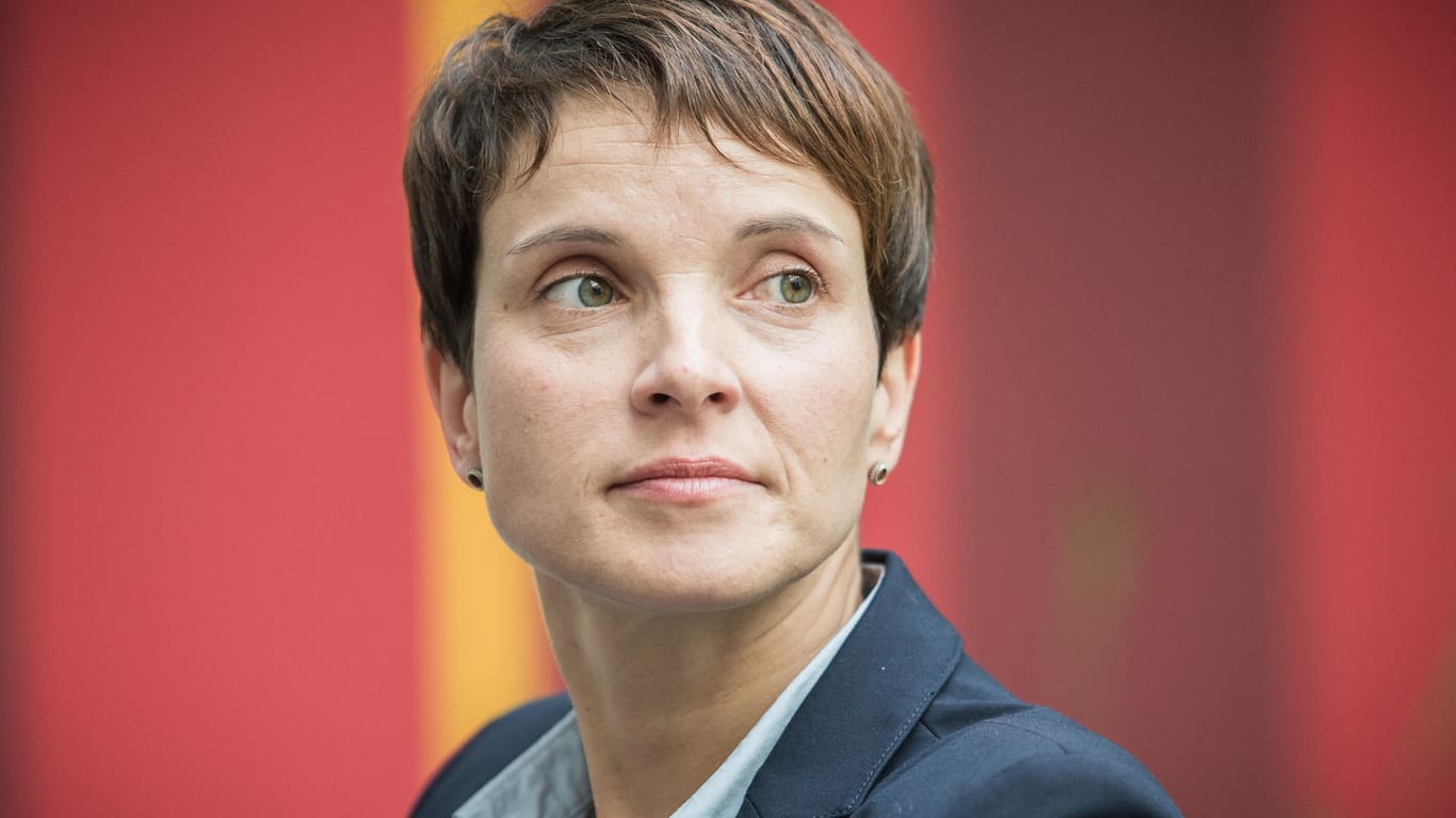 Umstritten: AfD-Vorsitzende Frauke Petry.