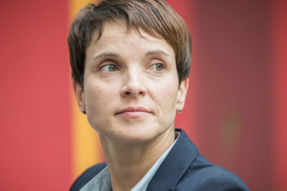 Umstritten: AfD-Vorsitzende Frauke Petry.