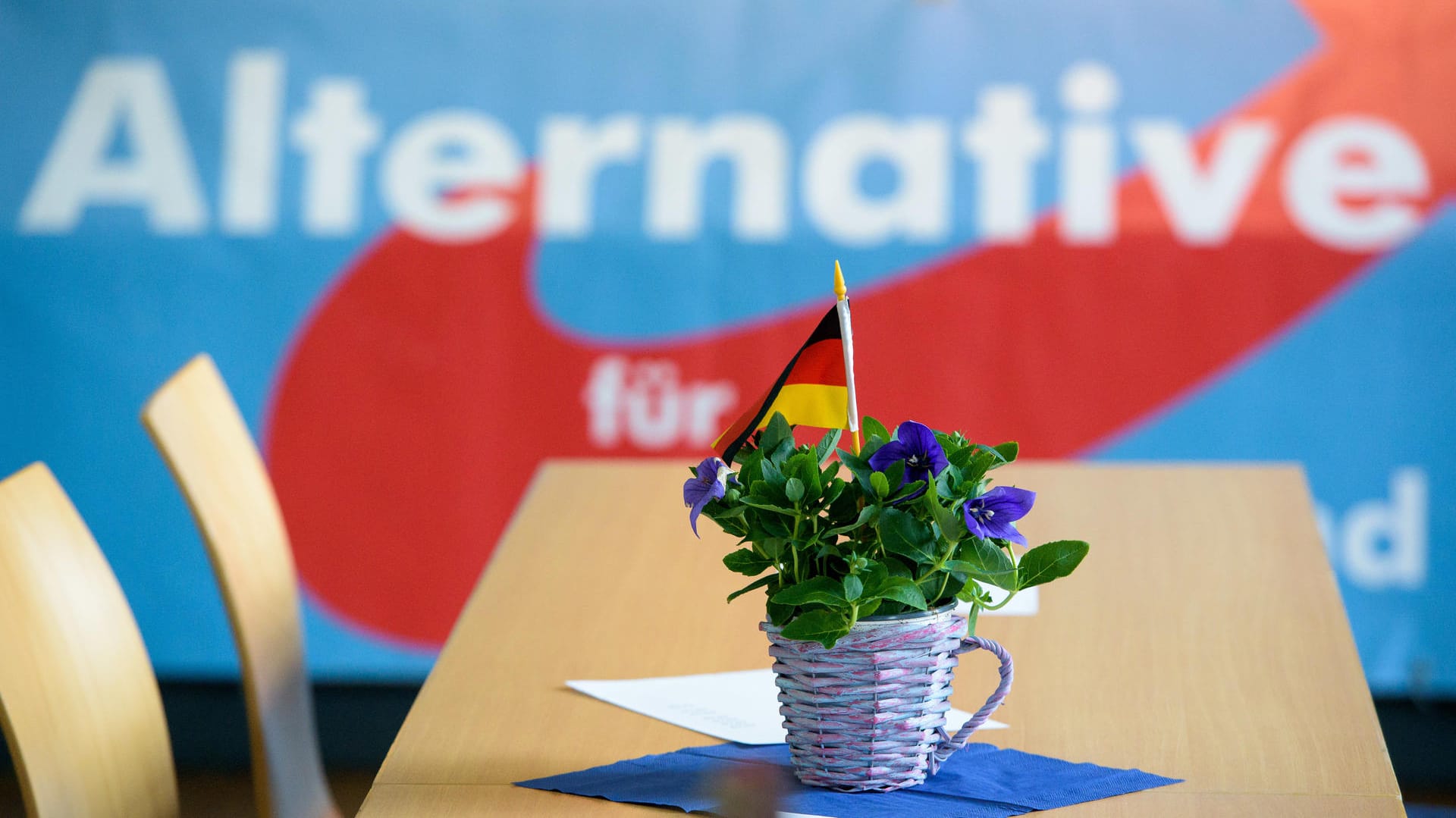 Die AfD ist in der jüngsten ARD-Umfrage im Aufwind.