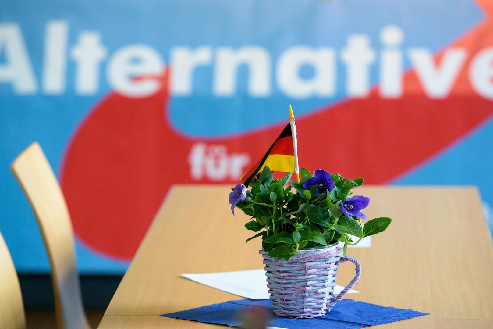 Die AfD ist in der jüngsten ARD-Umfrage im Aufwind.