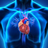 Menschliches Herz: Für eine Herzerkrankung gibt es Vorboten – die oft übersehen werden.
