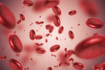 Blutplättchen: Bei Patienten, die bereits einen Herzinfarkt hatten, kann eine Therapie mit Blutverdünnern das Risiko für einen erneuten Anfall stark senken.