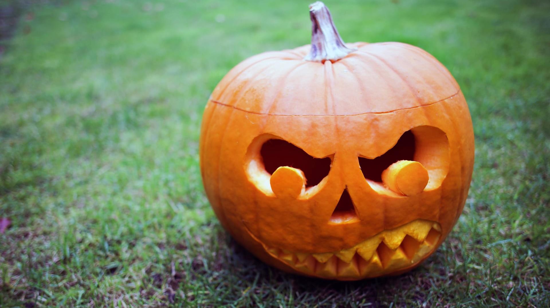 Halloween: Die geschnitzten Kürbisse sind Tradition an dem Feiertag.