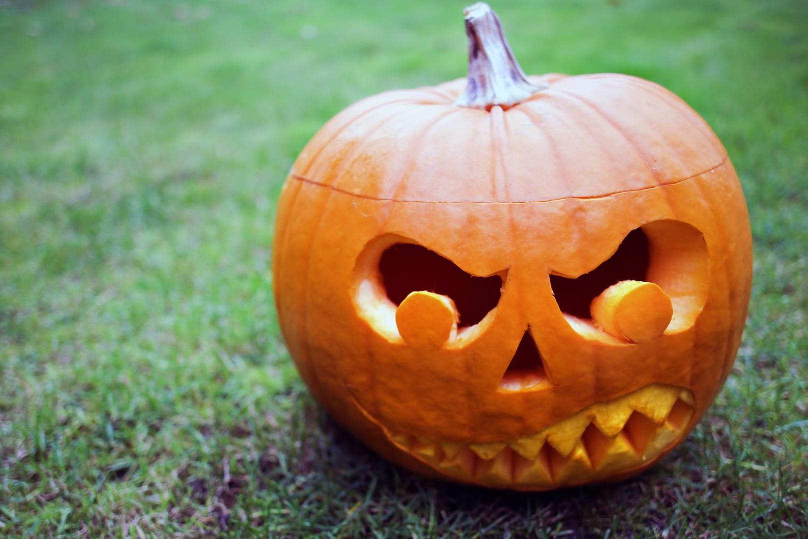 Halloween: Die geschnitzten Kürbisse sind Tradition an dem Feiertag.