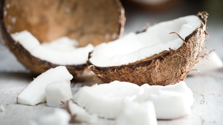 Kokosnuss: Exotische Note für die heimische Küche. Kokosmilch kann aus dem Fruchtfleisch gewonnen werden.