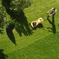 Rasenpflege: Düngen, gießen und vertikutieren Sie Ihren Rasen zum richtigen Zeitpunkt, damit er gesund bleibt.