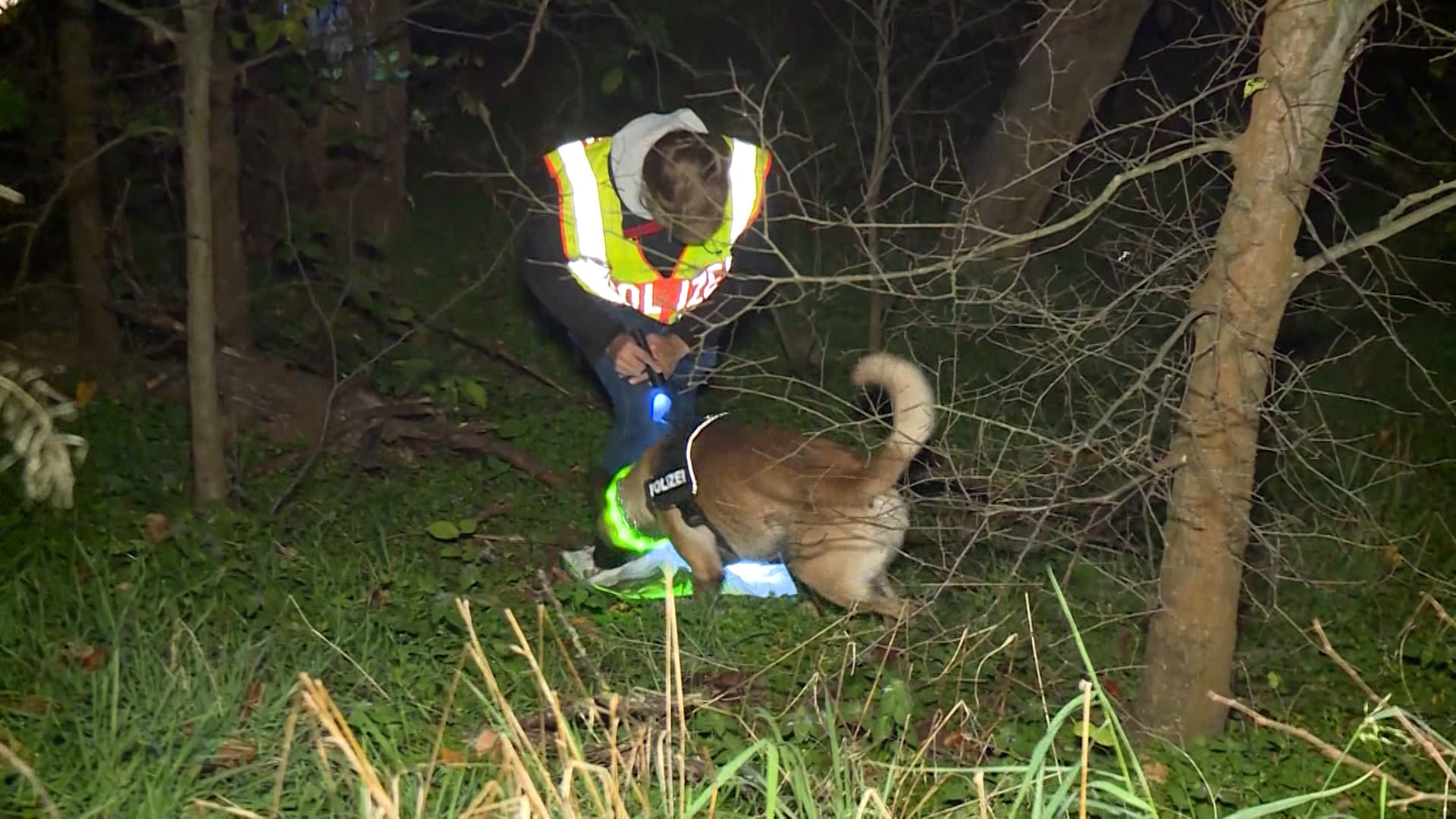 Ein Polizist mit einem Spürhund (Archivbild): Der Angeklagte soll Leichenteile seines Opfers an verschiedenen Orten in der Stadt abgelegt haben.