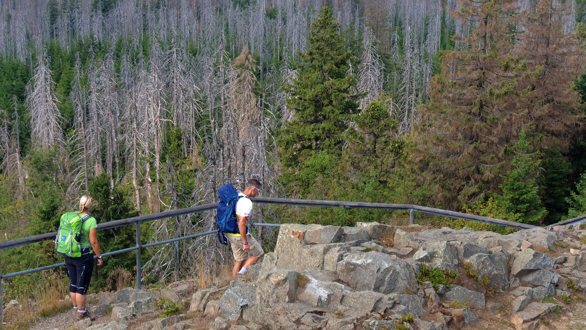 Wandern im Harz: Die Corona-Regeln wurden weitgehend gelockert.