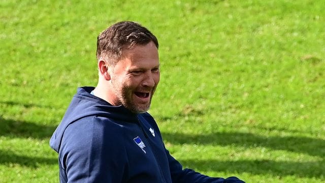 Hat mit Hertha BSC die Vorbereitung auf die neue Spielzeit gestartet: Berlins Trainer Pal Dardai. Hat mit Hertha BSC die Vorbereitung auf die neue Spielzeit gestartet: Berlins Trainer Pal Dardai.