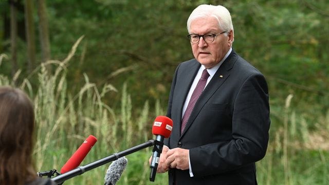 "Ich glaube, allen Beteiligten ist heute nochmal klar geworden, wie ehrgeizig es schon ist, die Erderwärmung auf unter 2 Grad, 1,5 Grad, zu begrenzen": Bundespräsident Frank-Walter Steinmeier.