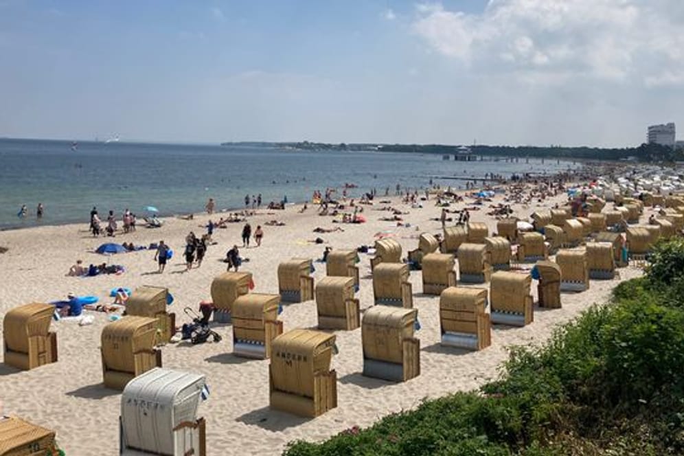 Urlauber und Tagesgäste genießen den Strand an der Lübecker Bucht.