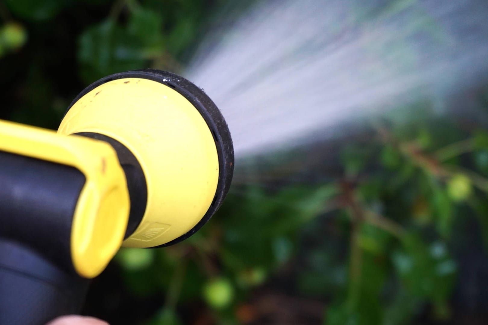 Wasserversorgung: Bei Hitze sollen Sie morgens und abends gießen.