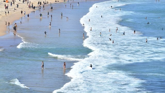 Sydneys berühmter Bondi Beach ist wegen zahlreicher Haie im Wasser vorübergehend geschlossen worden. Sydneys berühmter Bondi Beach ist wegen zahlreicher Haie im Wasser vorübergehend geschlossen worden.