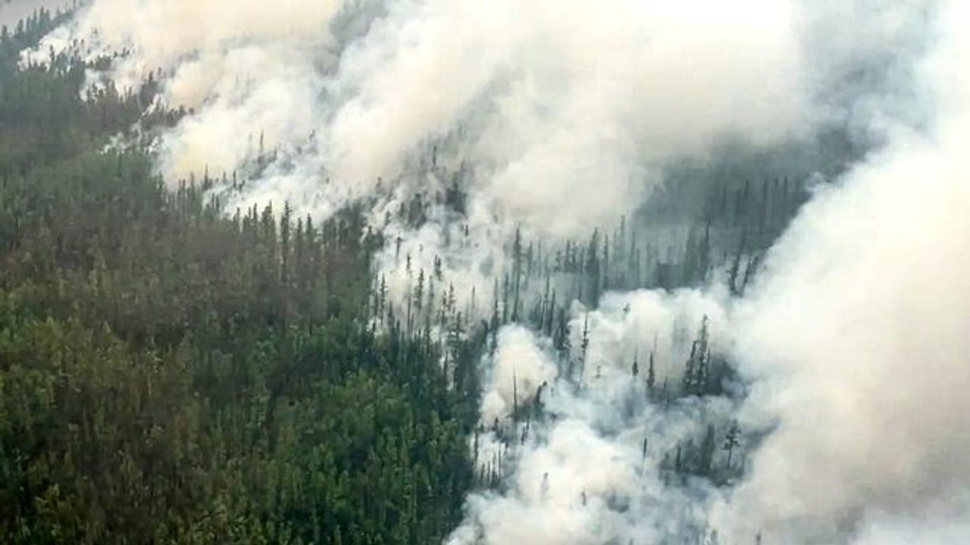 Jedes Jahr stehen in Russlands Wäldern riesige Baumbestände in Flammen.