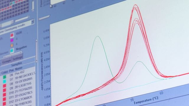 Eine rote "Schmelzkurve" zeigt auf einem Monitor im Labor von Bioscientia die "Delta-Variante" des Virus.