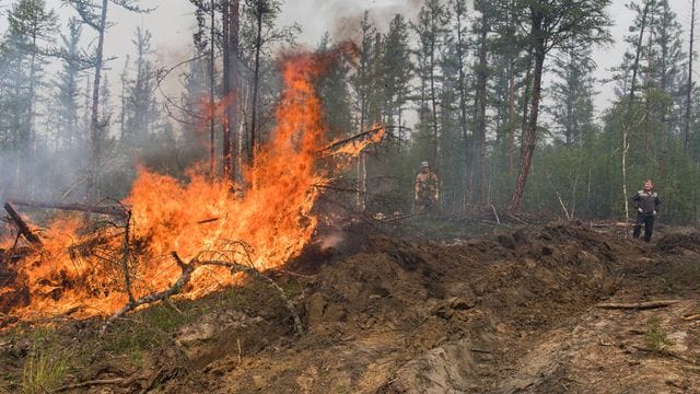 In weiten Teilen Russlands kommt es aufgrund von ungewöhnlich hohen Temperaturen und der Vernachlässigung von Brandschutzvorschriften zu Waldbränden. In weiten Teilen Russlands kommt es aufgrund von ungewöhnlich hohen Temperaturen und der Vernachlässigung von Brandschutzvorschriften zu Waldbränden.