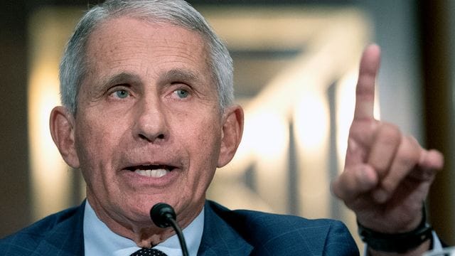 Anthony Fauci, Direktor des Nationalen Instituts für Infektionskrankheiten der USA.