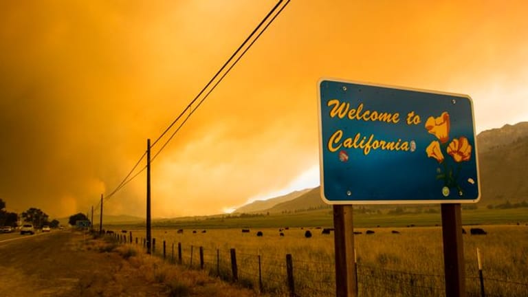 Die Waldbrandsaison im Westen Nordamerikas wird voraussichtlich noch Monate dauern, und schon jetzt wüten die Flammen auf ungewöhnlich großen Flächen.