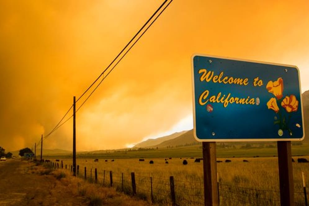 Die Waldbrandsaison im Westen Nordamerikas wird voraussichtlich noch Monate dauern, und schon jetzt wüten die Flammen auf ungewöhnlich großen Flächen.