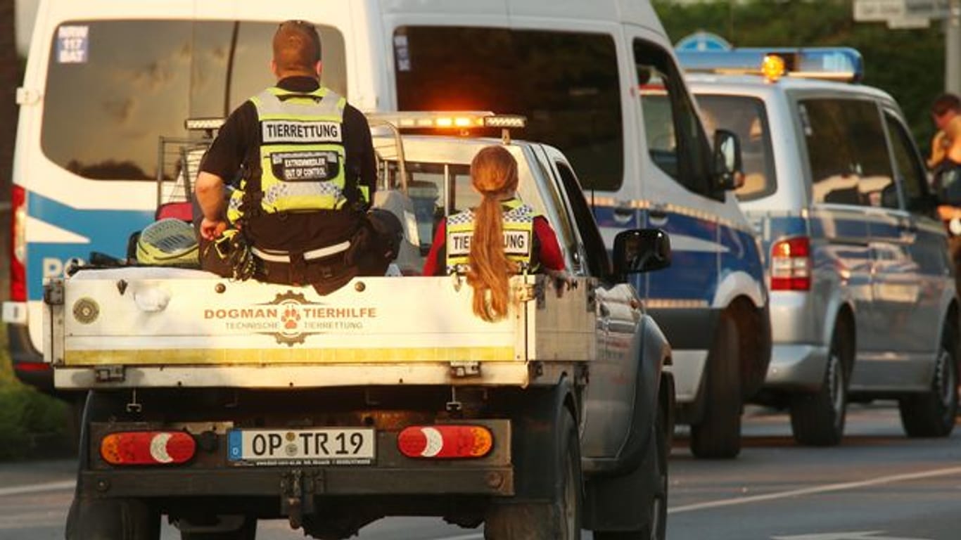 Ein Fahrzeug mit Tierrettern und Tieren verlässt Erftstadt in Nordrhein-Westfalen.