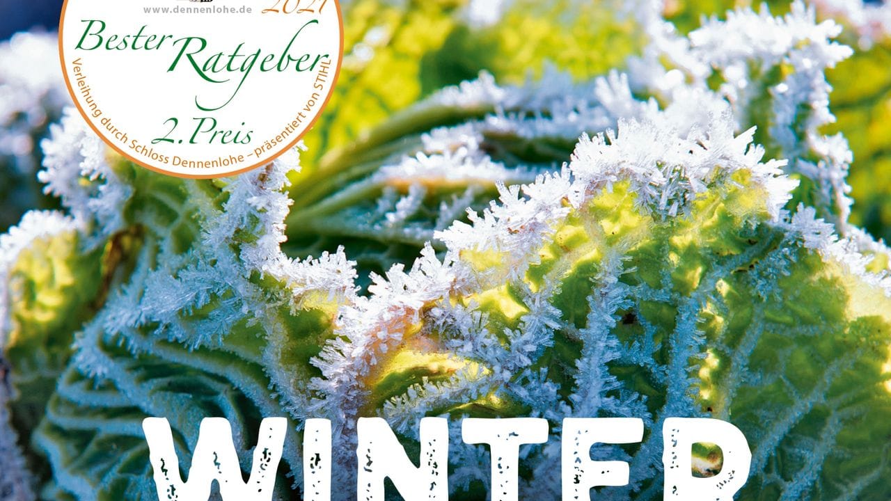 Heidi Lorey: Wintergemüse: Frische Ernte in der kalten Jahreszeit.