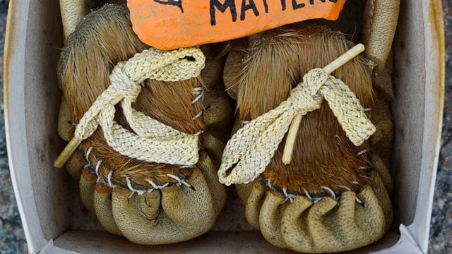 Ein Mahnmal gedenkt der indigenen Kinder auf dem Parliament Hill. Ein Mahnmal gedenkt der indigenen Kinder auf dem Parliament Hill.