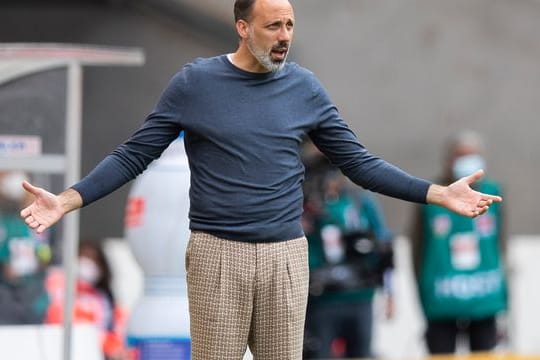 Stuttgarts Trainer Pellegrino Matarazzo gestikuliert an der Seitenlinie.