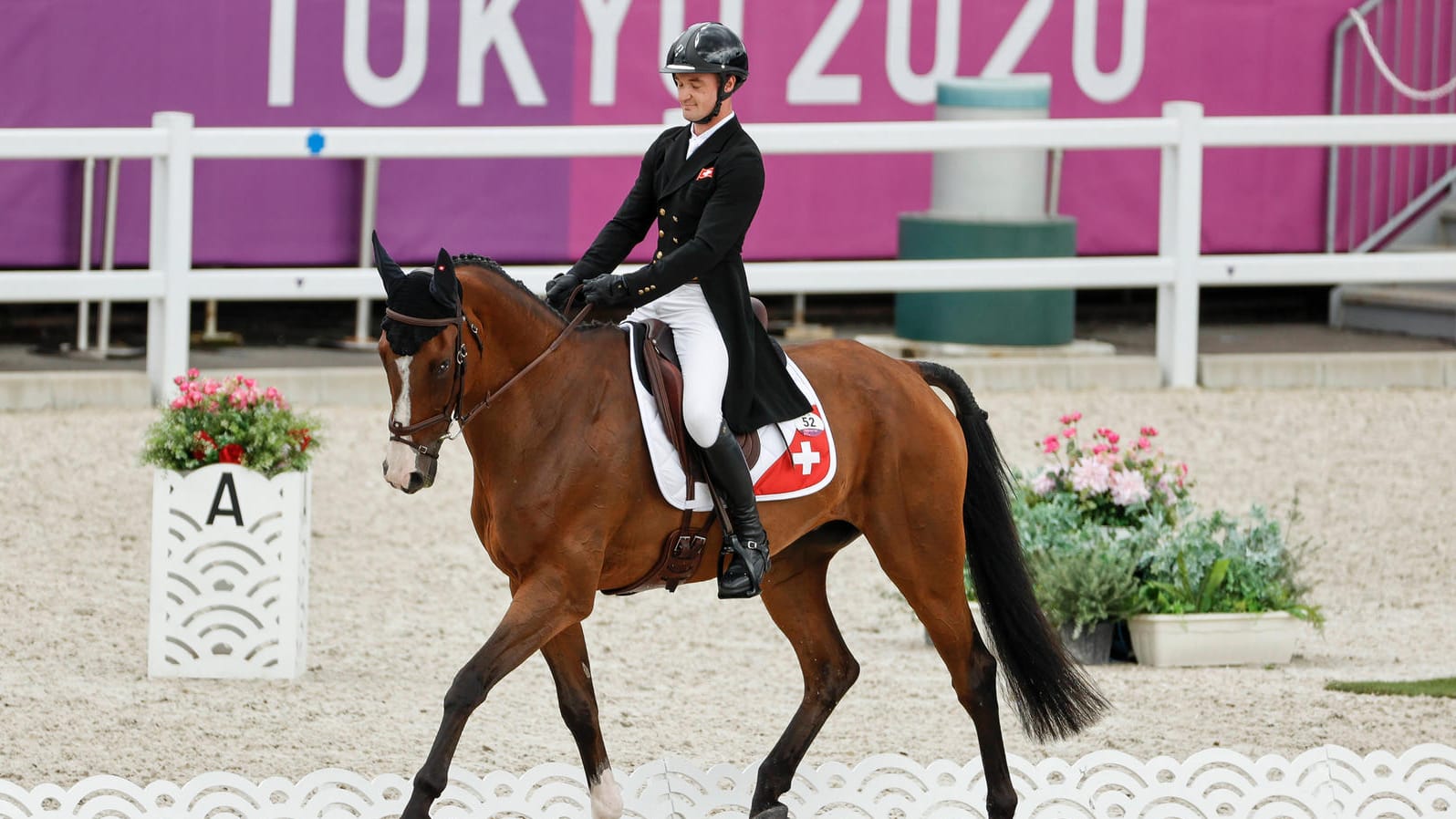 Das Pferd des Schweizer Reiters Robin Godel musste eingeschläfert werden. Das Pferd des Schweizer Reiters Robin Godel musste eingeschläfert werden.