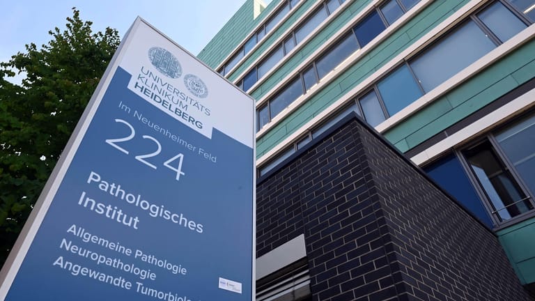 Pathologisches Institut Heidelberg: Dessen Chef-Pathologe pocht auf mehr Obduktionen von Geimpften.