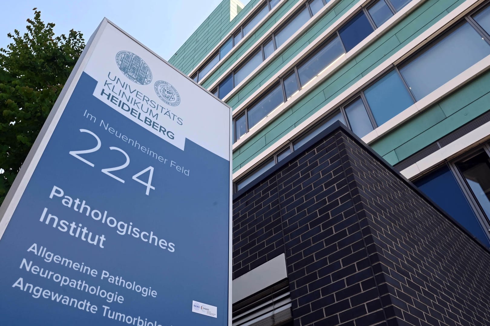 Pathologisches Institut Heidelberg: Dessen Chef-Pathologe pocht auf mehr Obduktionen von Geimpften.