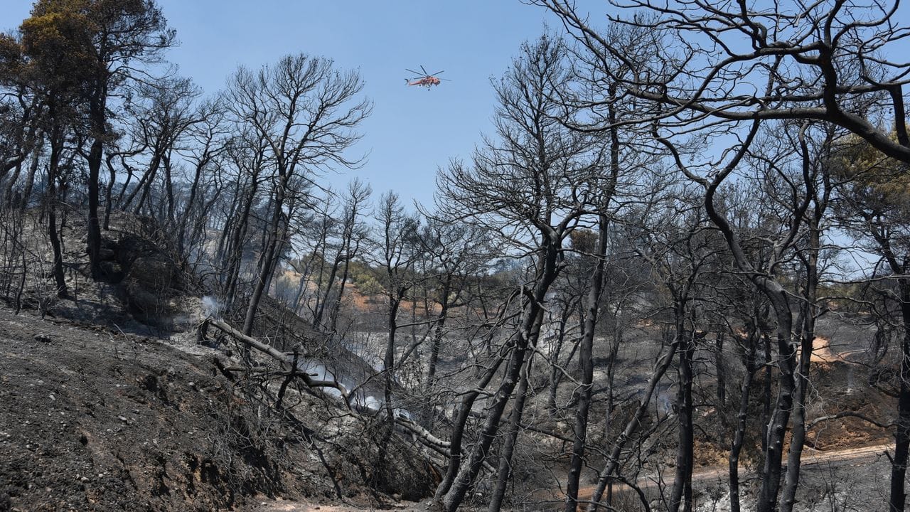 Ein Hubschrauber fliegt über das brennende Gebiet in der Nähe des griechischen Dorfes Ziria. Ein Hubschrauber fliegt über das brennende Gebiet in der Nähe des griechischen Dorfes Ziria.