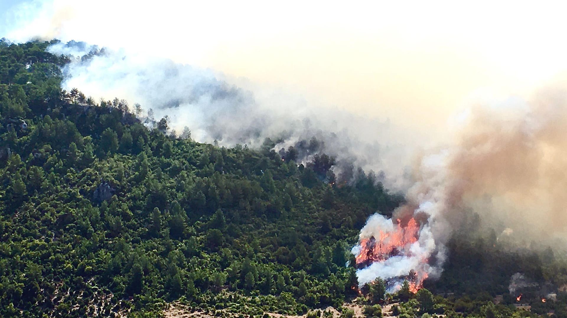 Waldbrände in der Türkei