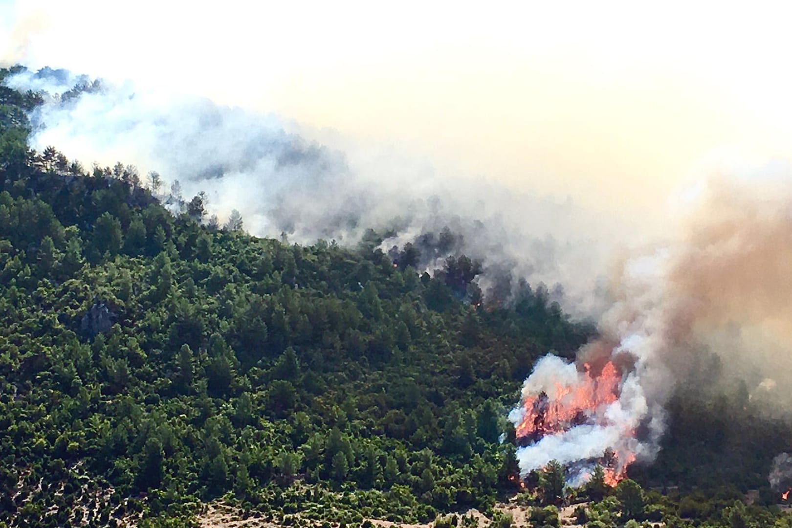 Waldbrände in der Türkei