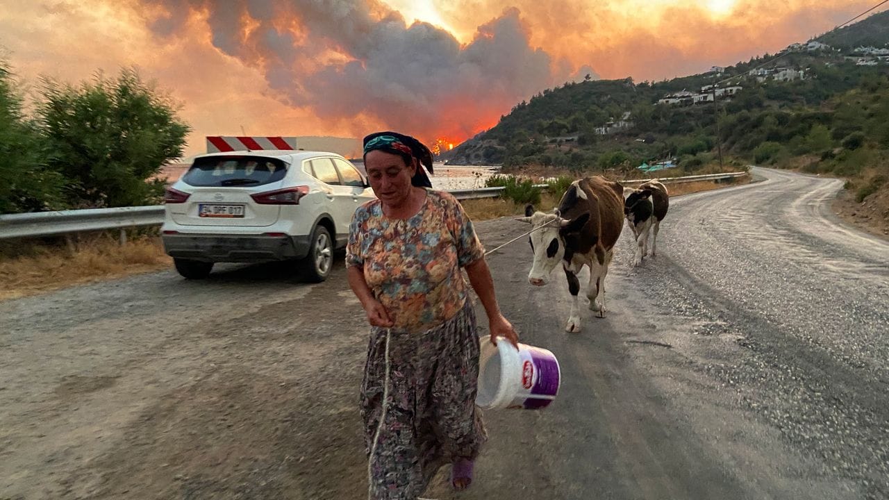 Eine Frau flieht mit ihren Tieren im türkischen Bodrum vor einem sich ausbreitenden Waldbrand.
