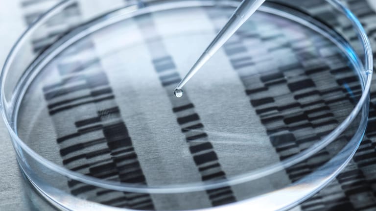 DNA-Probe in einer Petrischale: Mittels eines Tests konnte in Großbritannien eine Vergewaltigung nach 40 Jahren aufgeklärt werden. (Symbolfoto)