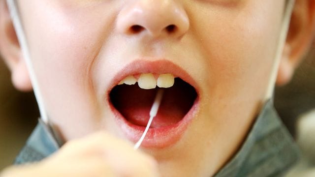 Lolli-Test Lolli-Test