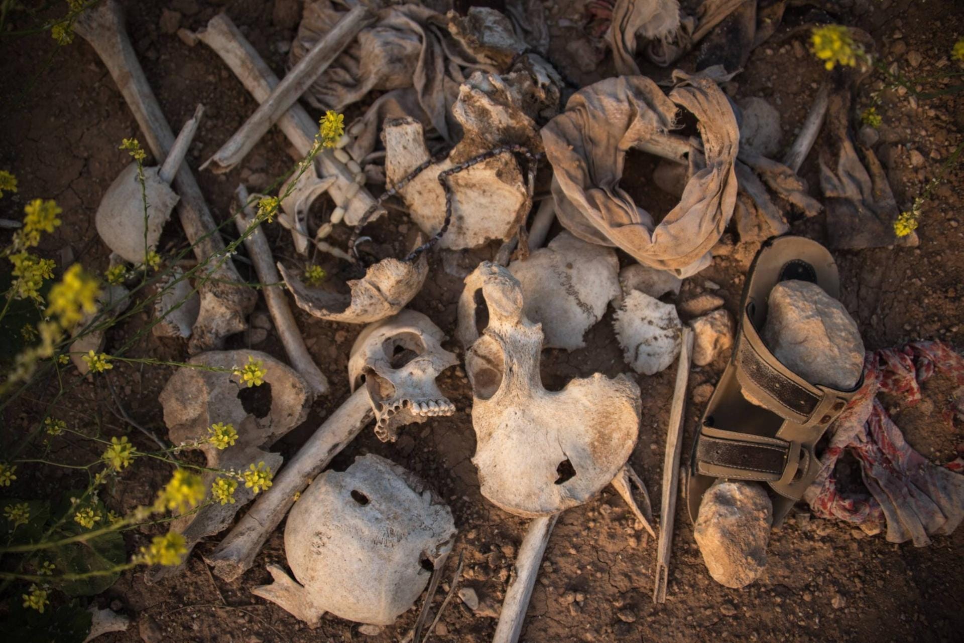 Knochen in einem Massengrab: Viele dieser Gräber wurden in der Gegend um Shingal nach der IS-Schreckensherrschaft gefunden, die Islamisten richteten Tausende Menschen hin.