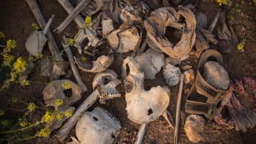 Knochen in einem Massengrab: Viele dieser Gräber wurden in der Gegend um Shingal nach der IS-Schreckensherrschaft gefunden, die Islamisten richteten Tausende Menschen hin.