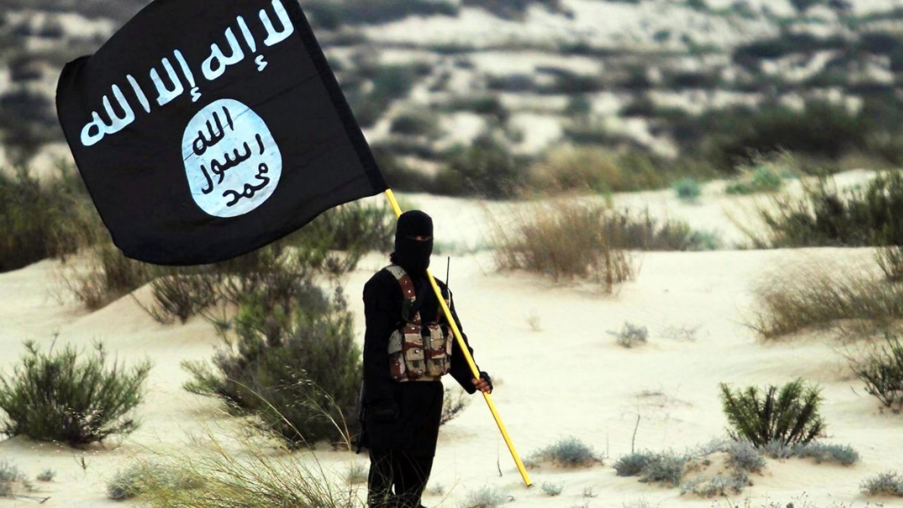 Ein IS-Terrorist: Der islamistischen Organisation, die vor allem im Irak und in Syrien wütete, schlossen sich auch viele Extremisten aus Deutschland an. Ein IS-Terrorist: Der islamistischen Organisation, die vor allem im Irak und in Syrien wütete, schlossen sich auch viele Extremisten aus Deutschland an.