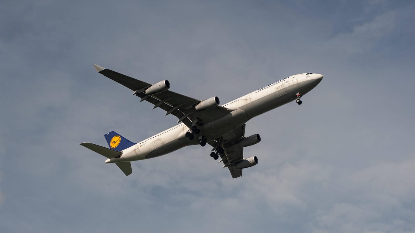 Im Auftrieb (Symbolbild): Die Lufthansa macht einen dreistelligen Millionenverlust im zweiten Quartal – ein großer Fortschritt im Vergleich zum Vorjahresquartal.