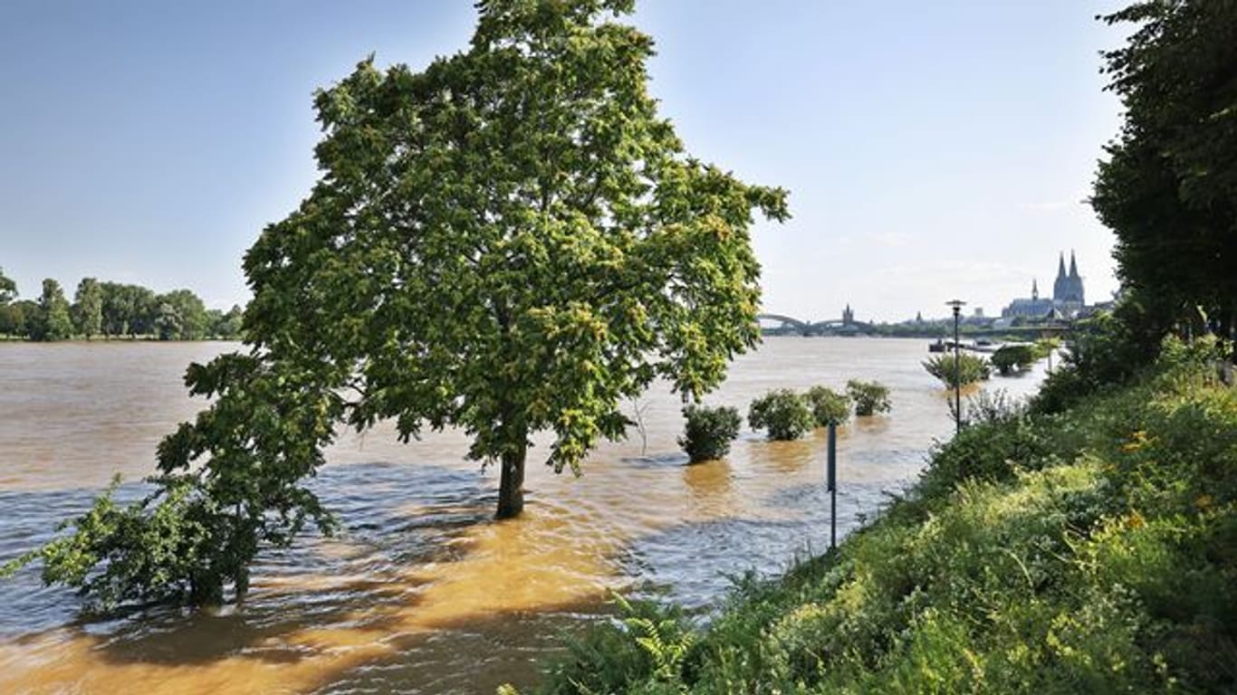 Überflutete Rheinuferpromenade: Auch in Köln richtete das Hochwasser viel Schaden an. (Archivfoto)