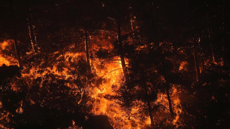 In der Türkei kämpfen weiter Tausende Einsatzkräfte gegen Wald- und Buschbrände. In einem Waldgebiet nahe des Dorfes Akcayaka musste wegen eines Flächenbrands ein Kohlekraftwerk evakuiert werden.