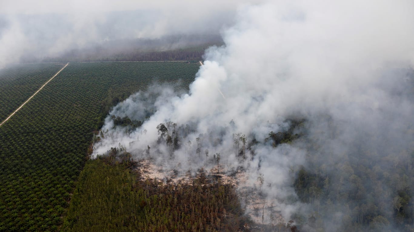 Rauchschwaden: Jedes Jahr brennen neue Waldflächen in Indonesien und Malaysia (Archivbild).