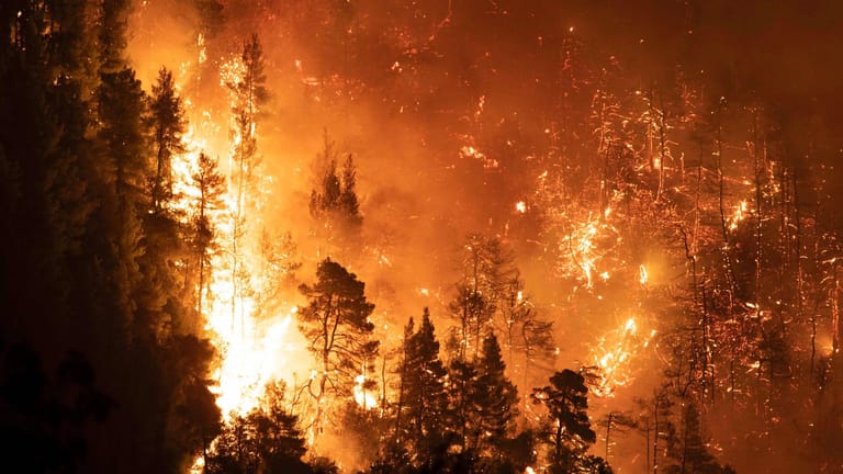 Waldbrand nahe des griechischen Dorfs Kourkouli: Ganze Landstriche in Griechenland und der Türkei stehen derzeit in Flammen.