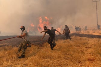Flammen in der griechischen Stadt Afidnes nahe Athen: Feuerwehrleute versuchen ein Feuer zu löschen.
