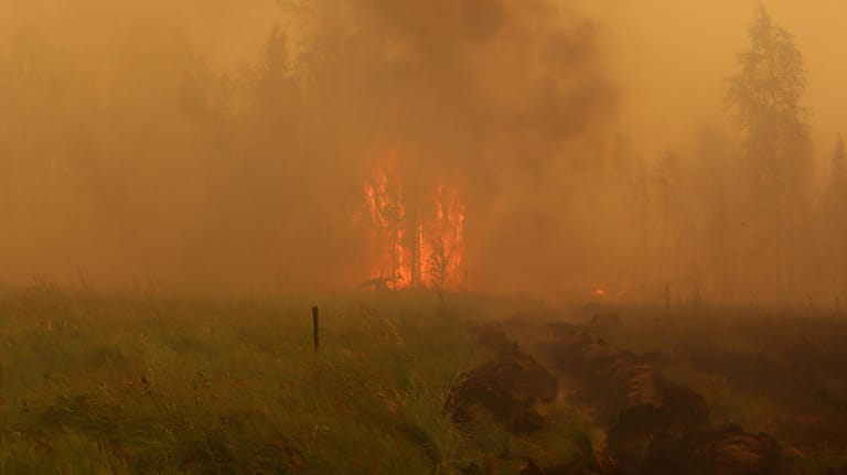 Waldbrand in der sibirischen Region Jakutien nahe dem Dorf Magaras: Schon im Juli gab es hier Feuer.