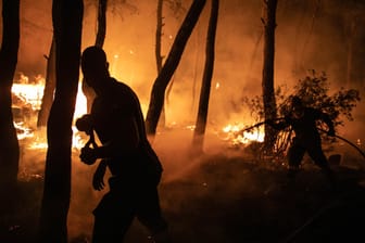 Feuerwehrleute bekämpfen einen Waldbrand: Viele Menschen haben ihre Häuser verloren.
