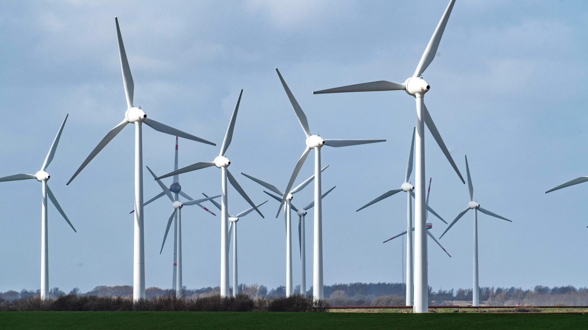 Windpark (Symbolbild): In Österreich ist ein Rotorblatt abgebrochen. Windpark (Symbolbild): In Österreich ist ein Rotorblatt abgebrochen.