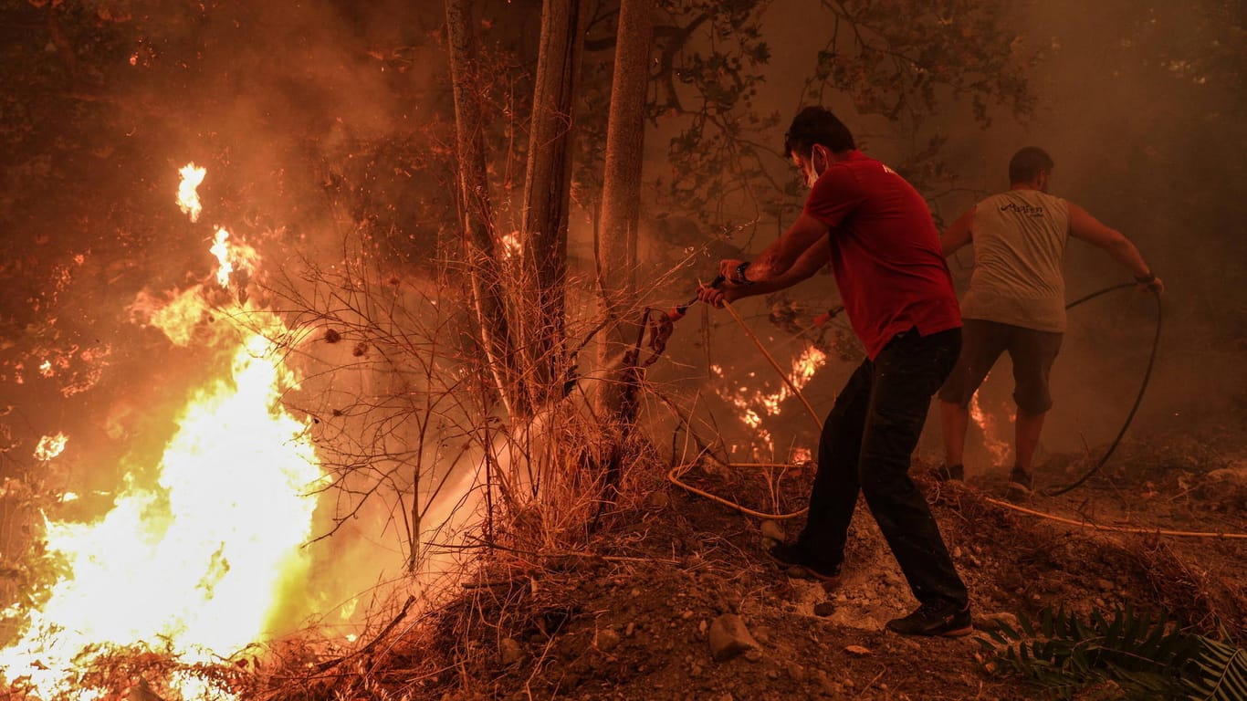 Freiwillige Helfer auf der Insel Euböa schlagen mit Zweigen auf die Flammen eines Waldbrandes ein: Zum Ausmaß der Schäden gibt es bisher unterschiedliche Angaben.